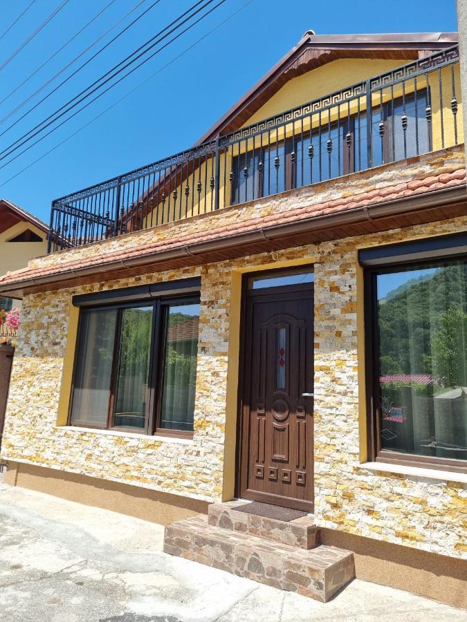 דבה Casa De Oaspeti Minerva מראה חיצוני תמונה